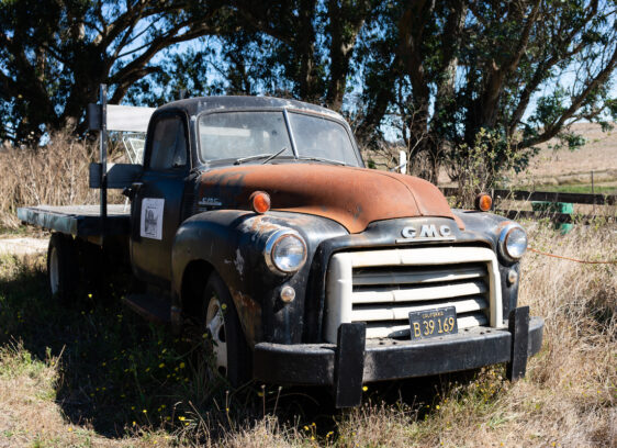 Toluma Farms & Tomales Farmstead Creamery 2