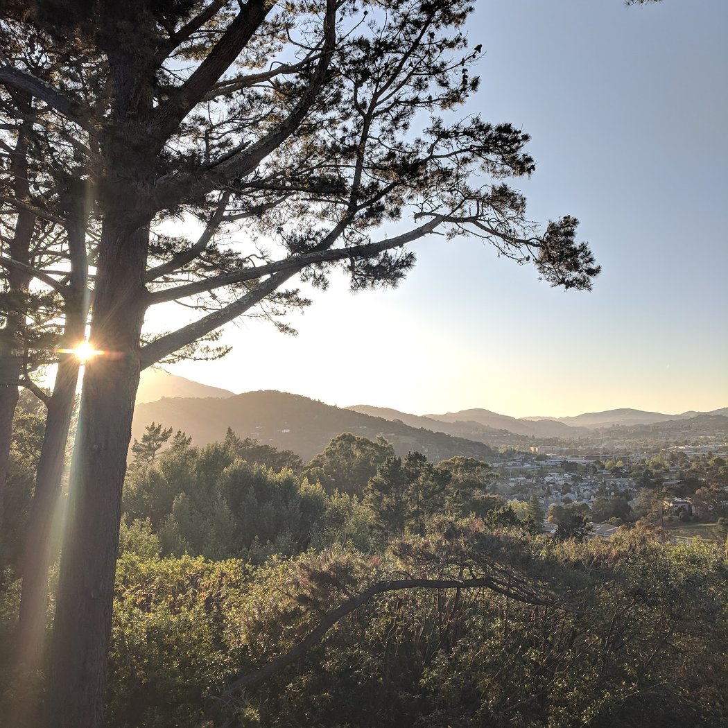 Granada Park 2
