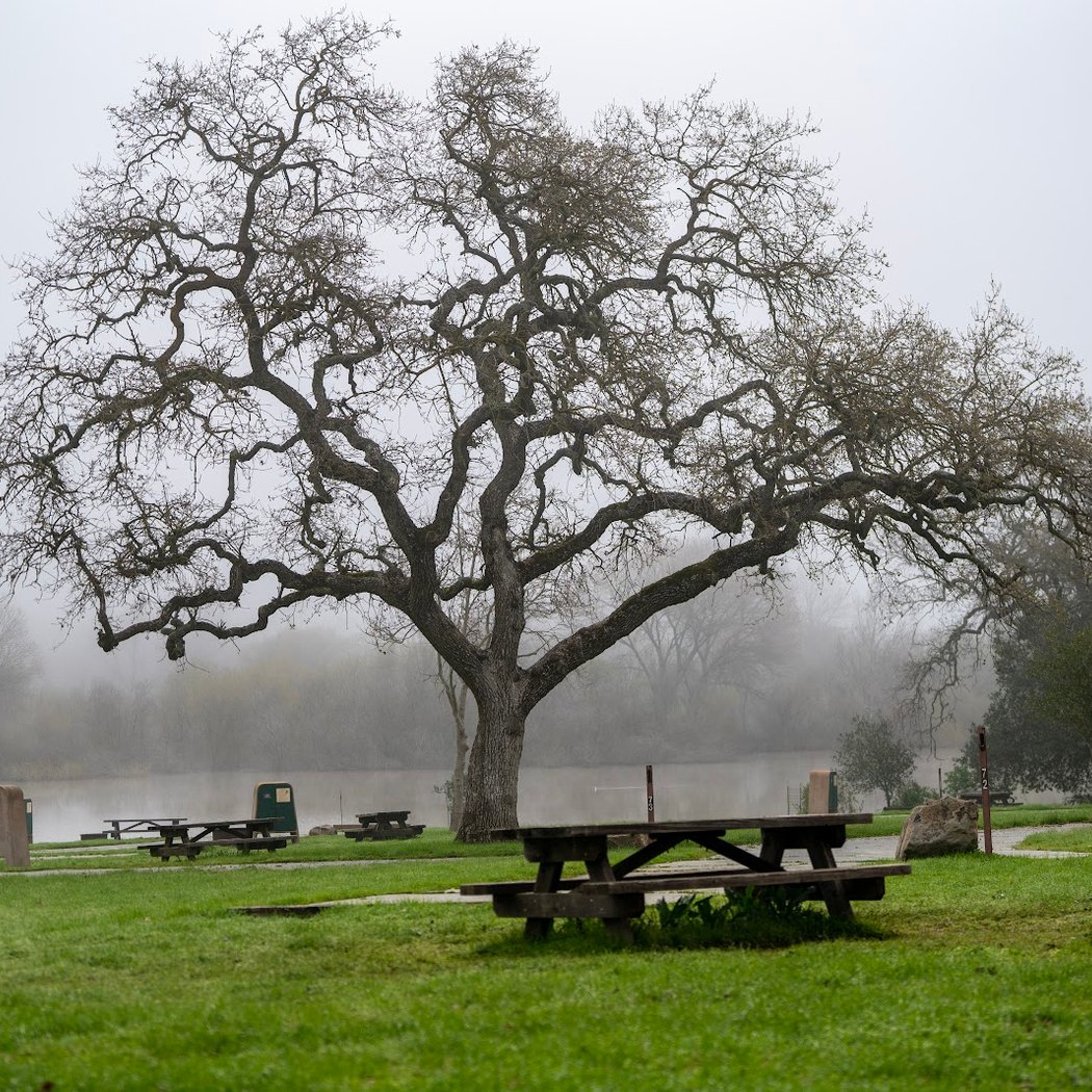 Coyote Lake-Harvey Bear Ranch County Park 1