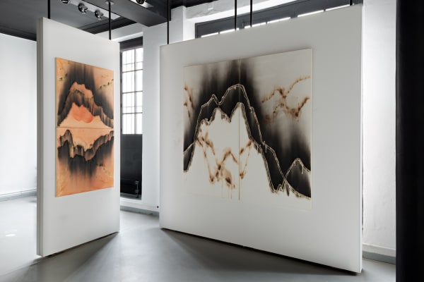 CHRISTIAN JACCARD: PICS DE COMBUSTION 1