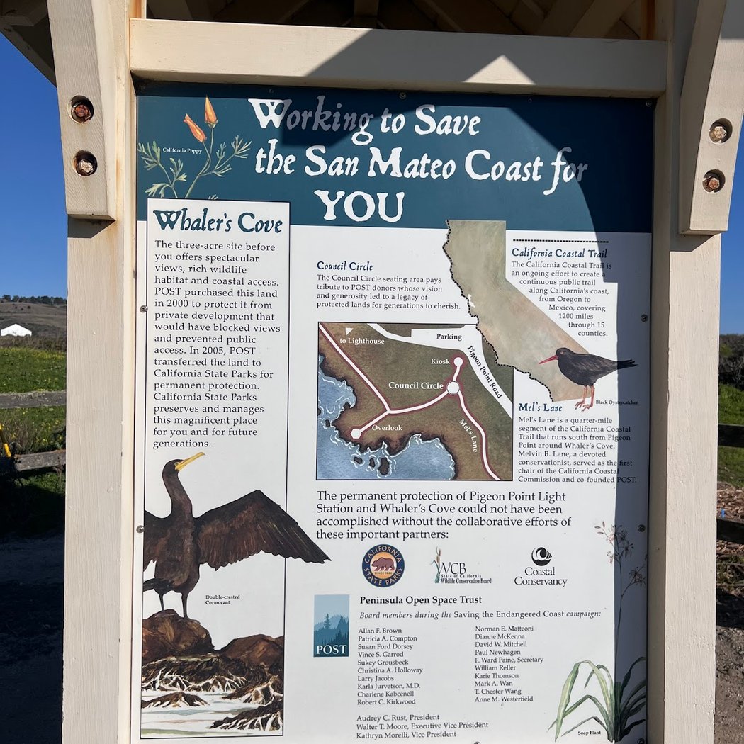 San Mateo Coast State Beaches 3