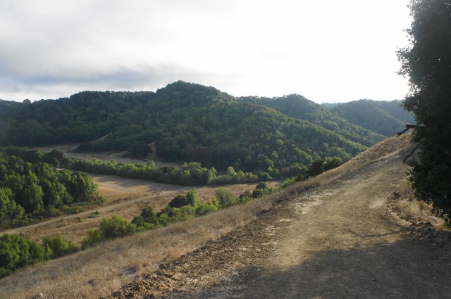 BRIONES REGIONAL PARK (Bear Creek to the Valley and Crest Trails) 2
