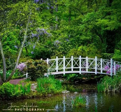 Sayen House and Gardens 1