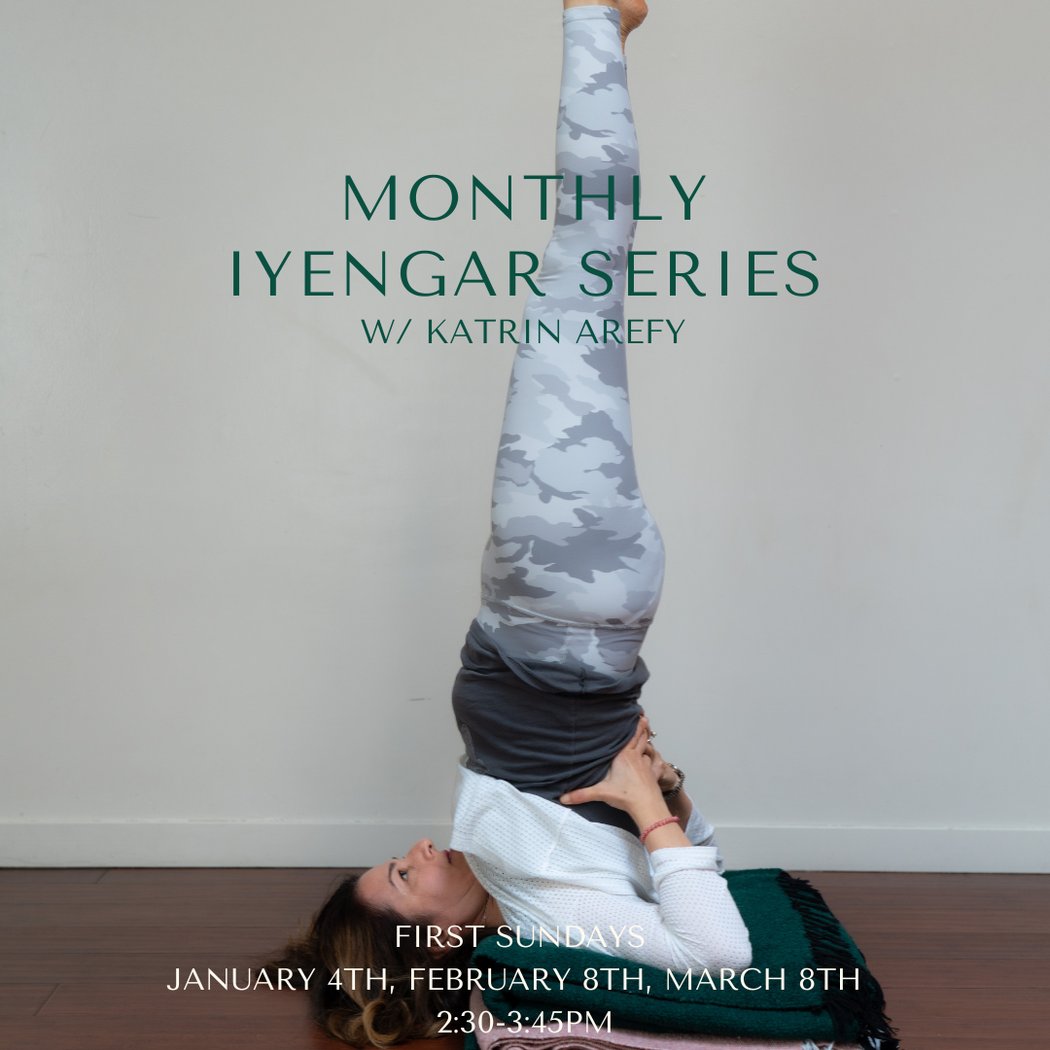 Monthly Iyengar Series with Katrin Arefy 1