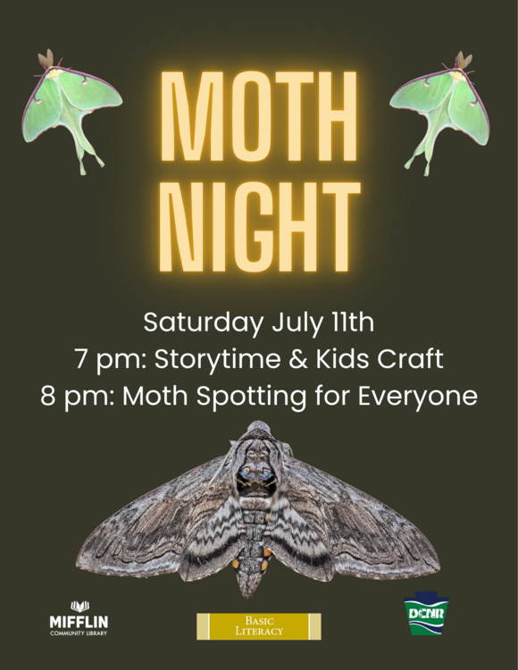 Moth Night 1