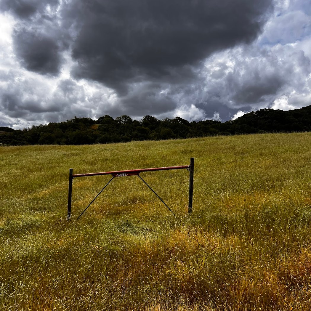 The Preserve Area Trails 3