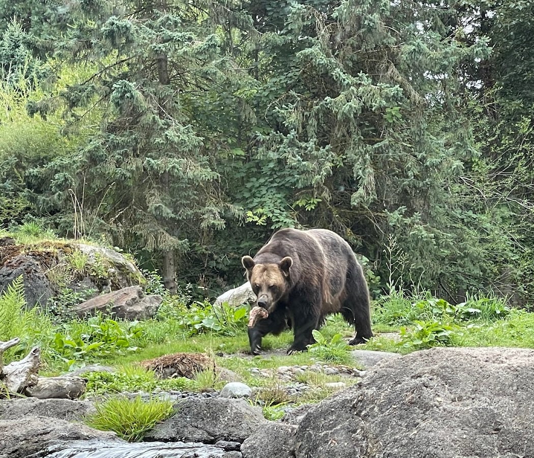 Woodland Park Zoo 2