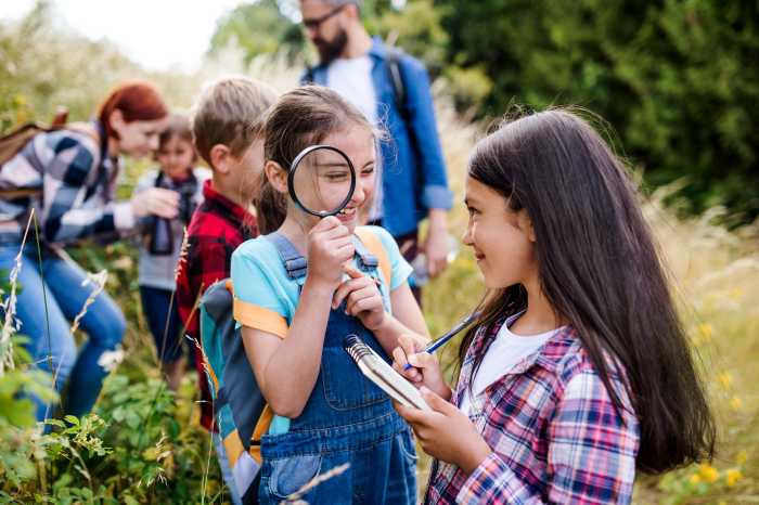 Ultimate Camp Fairs 1