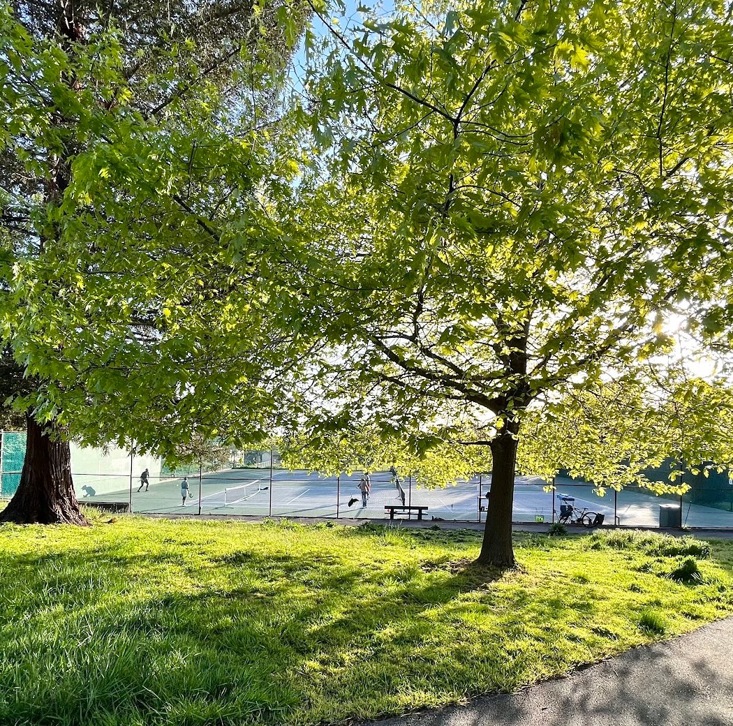 Castro Park 4