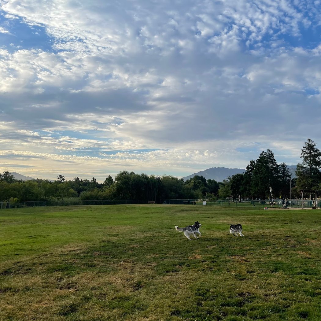 Newhall Dog Park 1