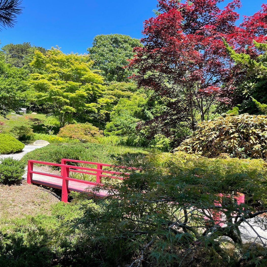 Mytoi Japanese Garden 2