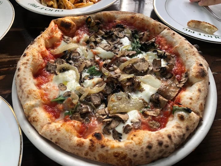 OLIO E PIÙ 2