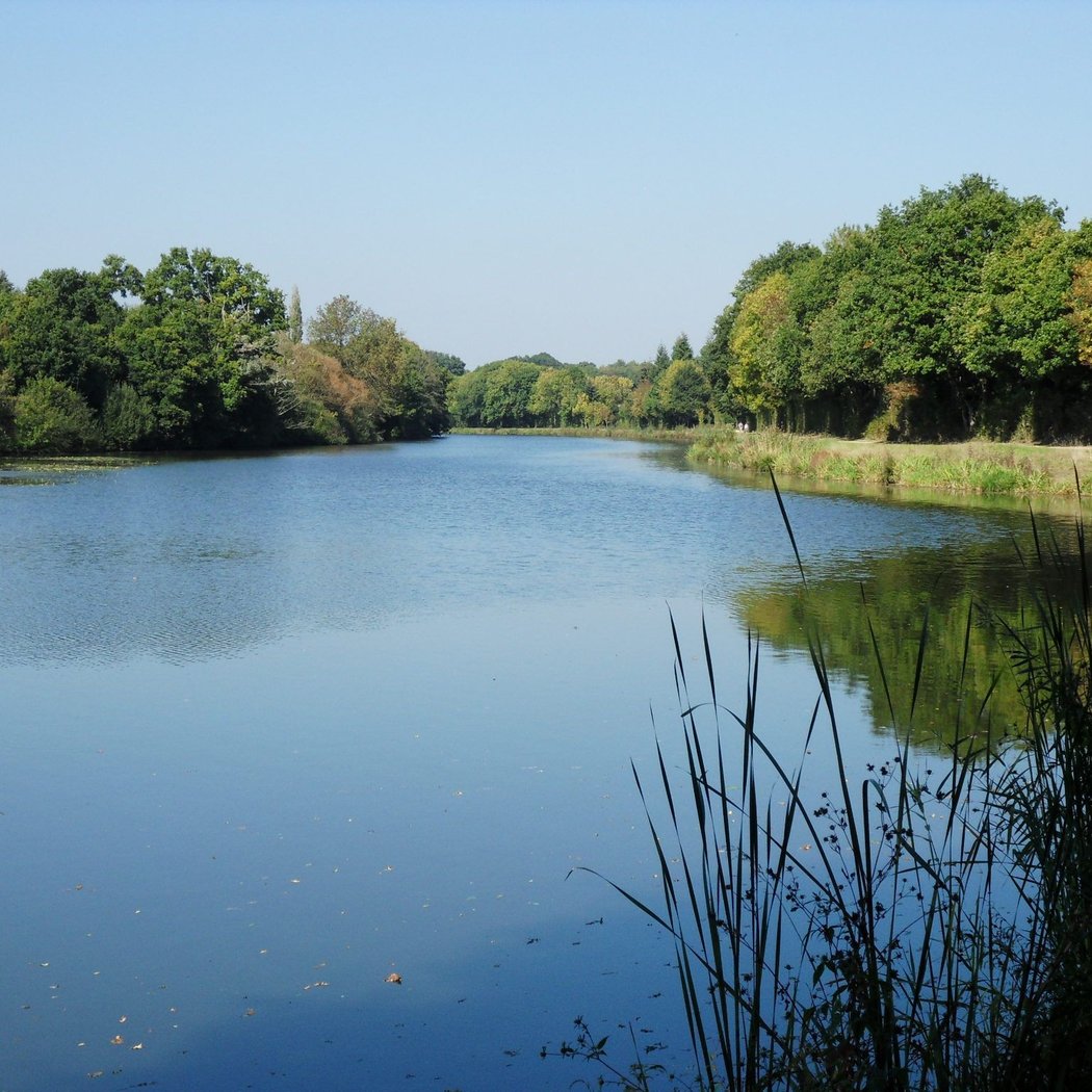 Circuit des Pins 1