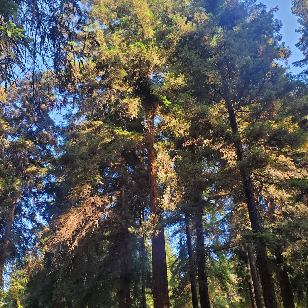 Carbon Canyon Regional Park 3