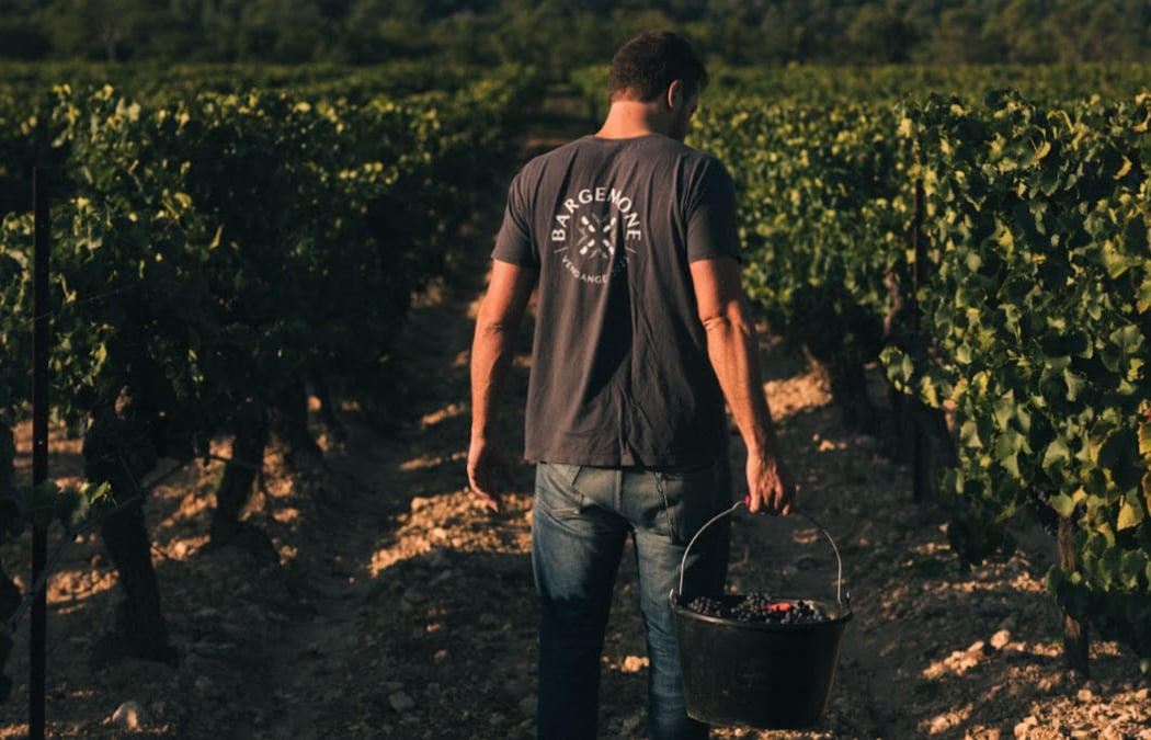 Domaine Bargemone 1