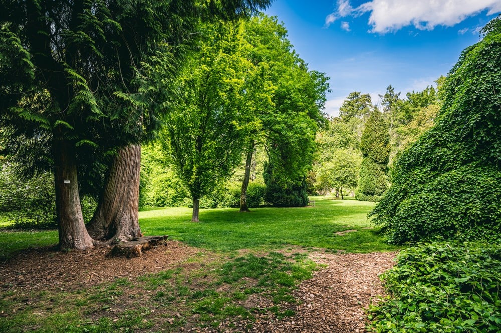 Arboretum d'Harcourt 1
