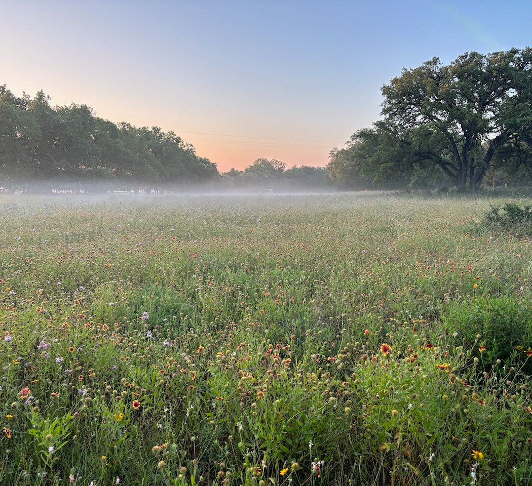Birding at Dowell Ranch 2