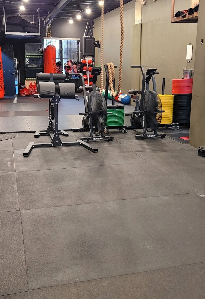 355 Lechatchila Ariber Gym NYC 3