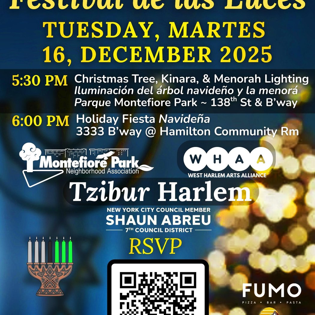 Festival of Lights 1