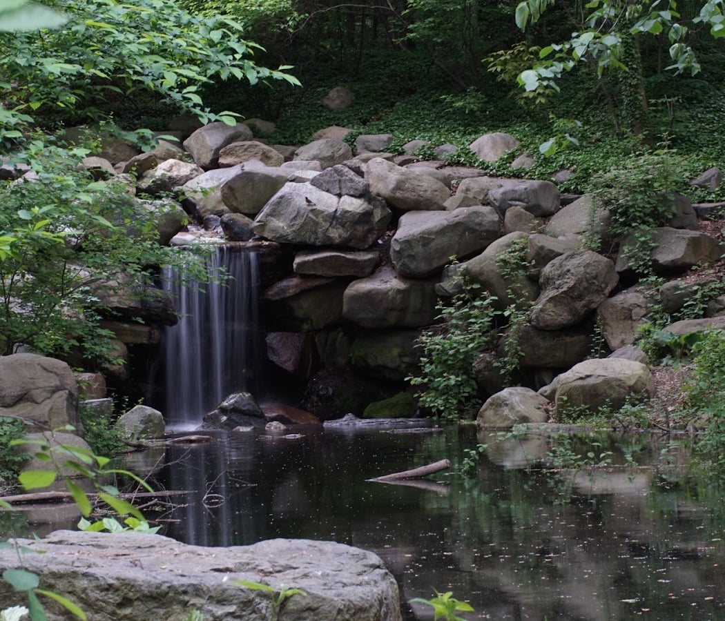 Ravine 2
