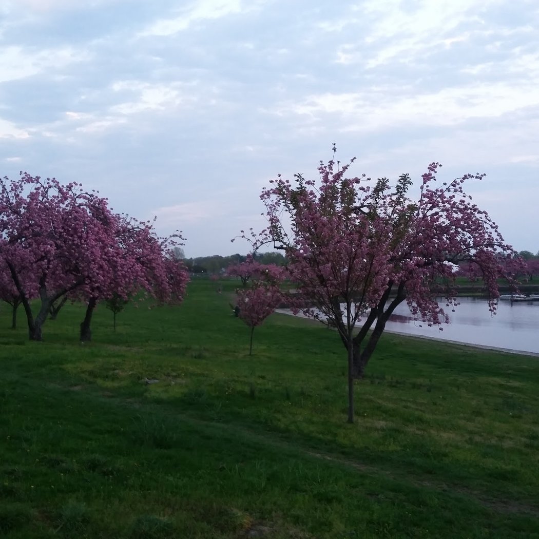 Harbor Island Park 3