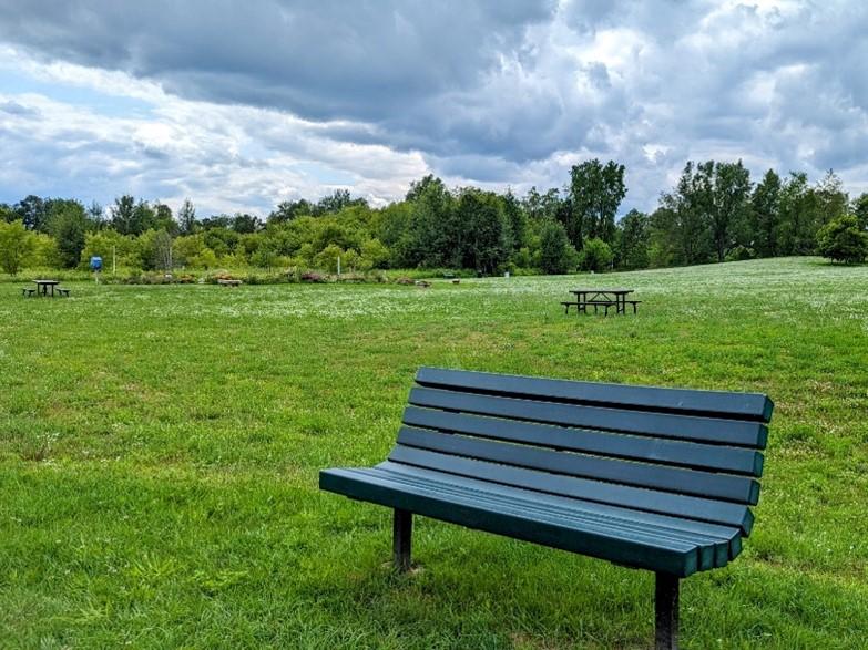 Settlers Park 1