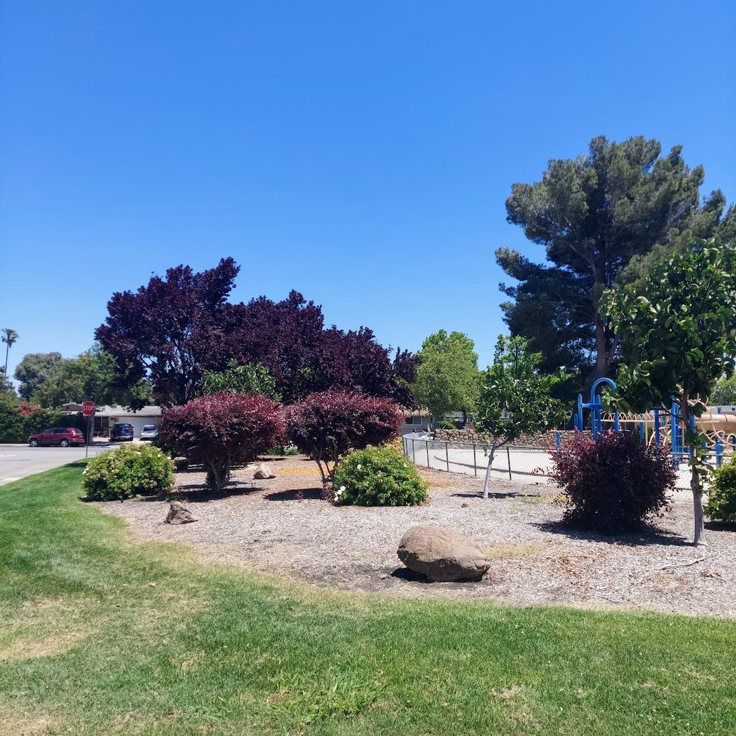 Lakewood Park 2