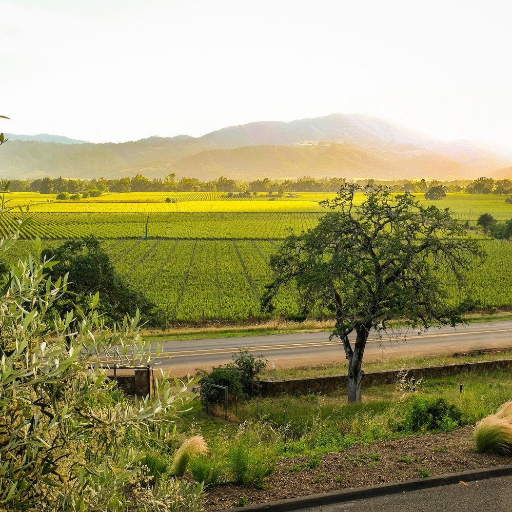 Miner Family Winery 2