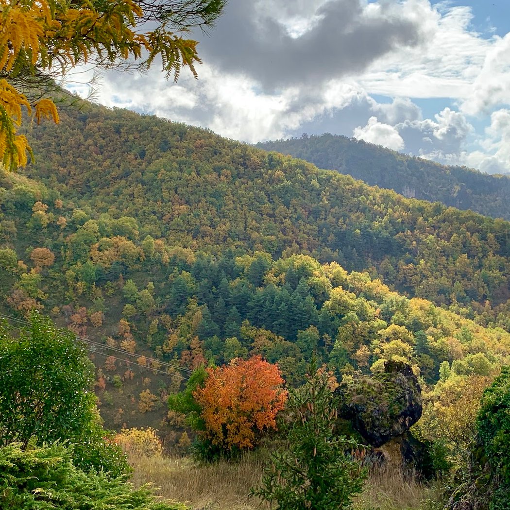 Gorges de la Dourbie 3