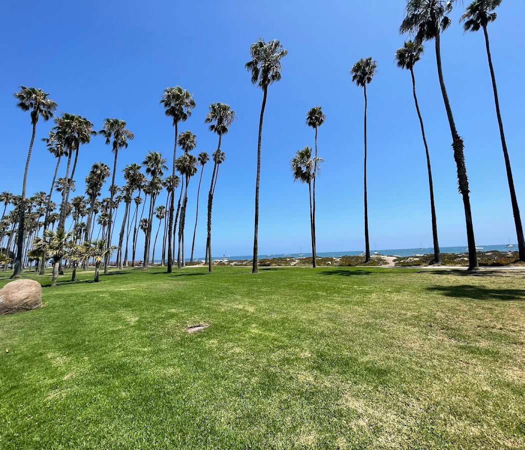 Chase Palm Park 1