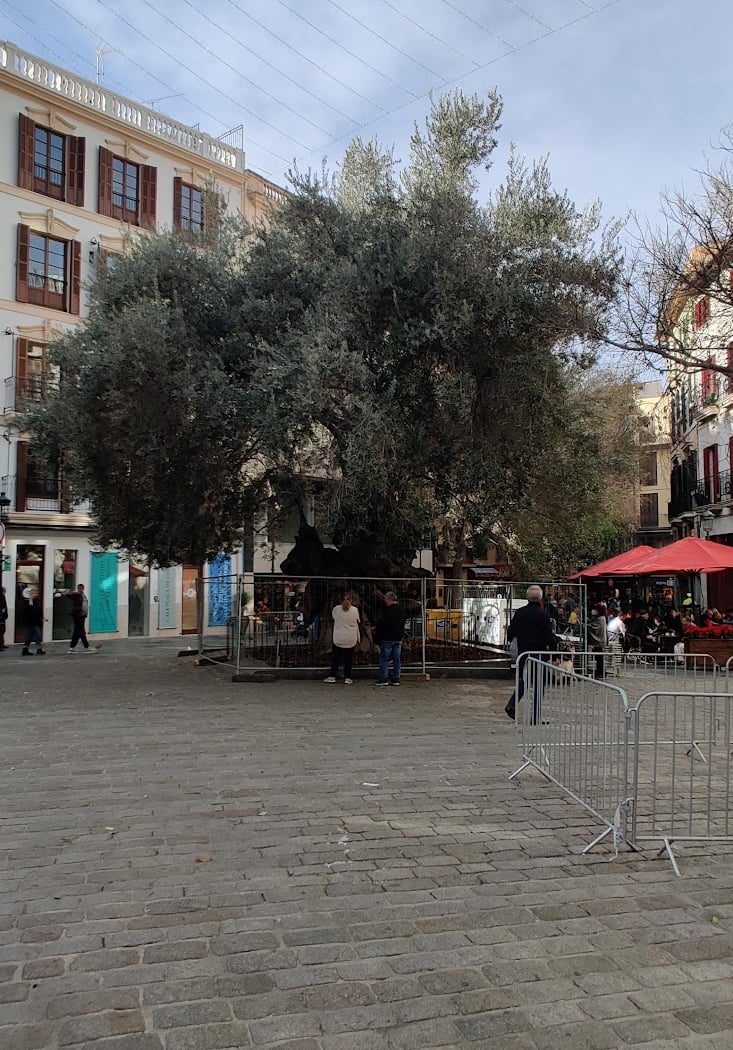 Nit de l'Art al Carrer 2026 2
