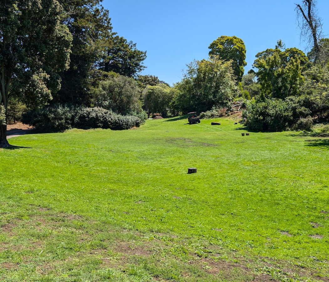 Bunny Meadow 1