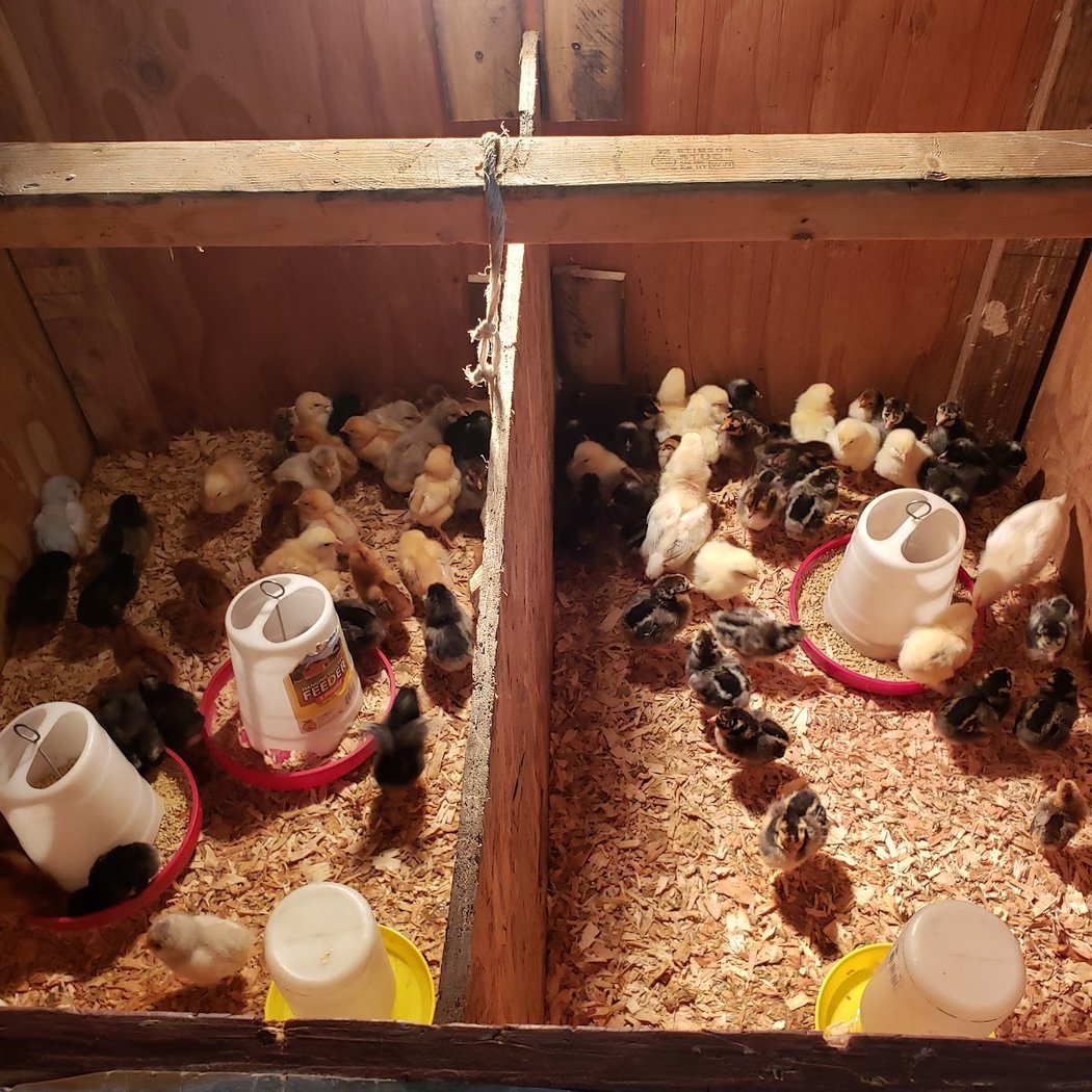 Ganado Feed & Pet Supplies 1