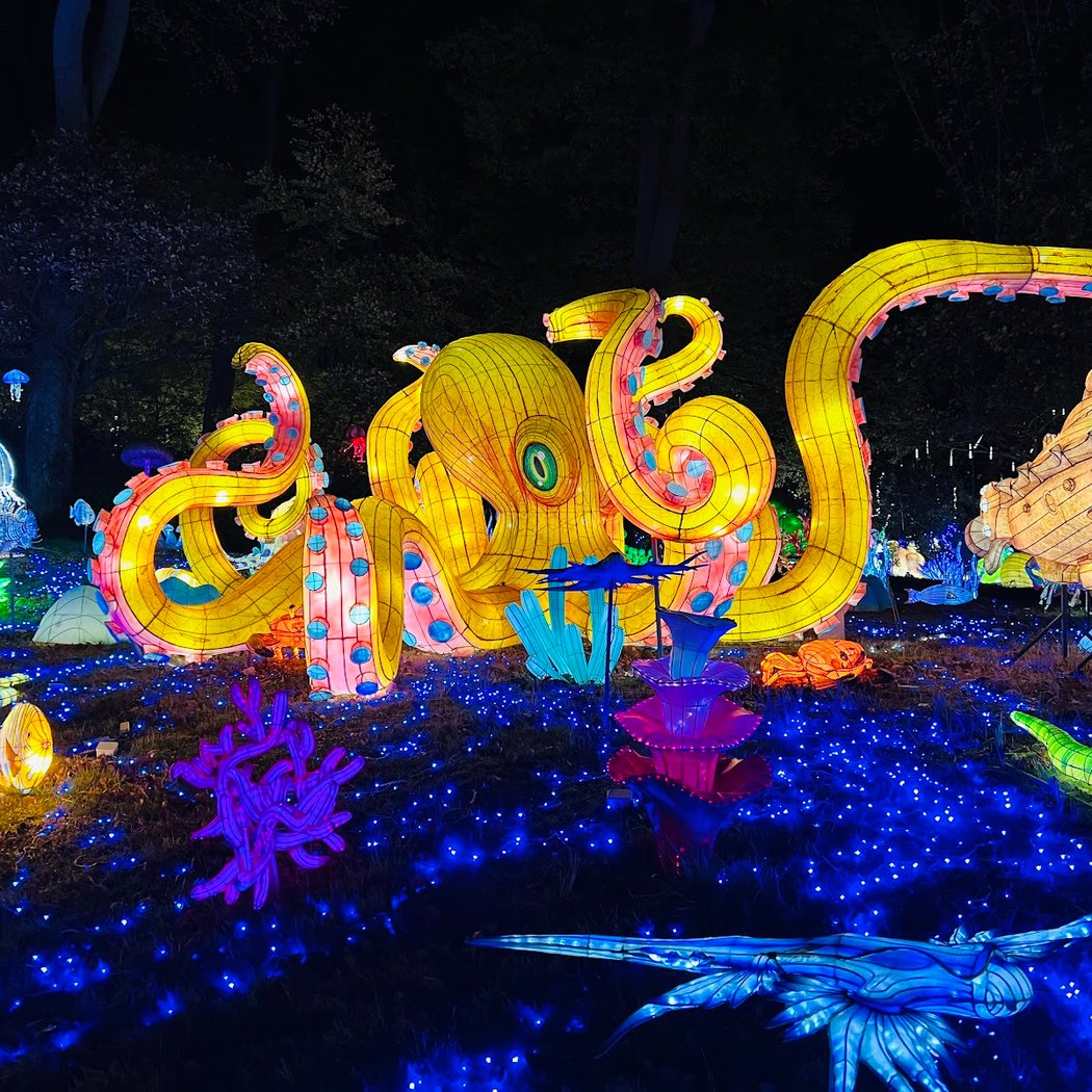 Thoiry Lumières Sauvages 1