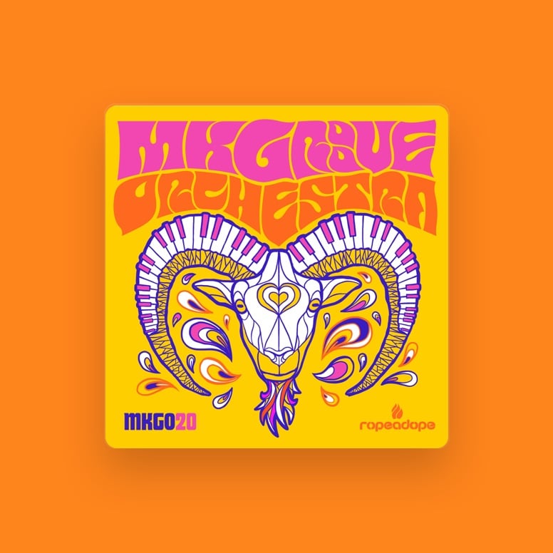 MK Groove Orchestra concert 1