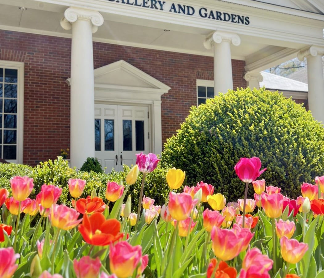 Dixon Gallery & Gardens 3