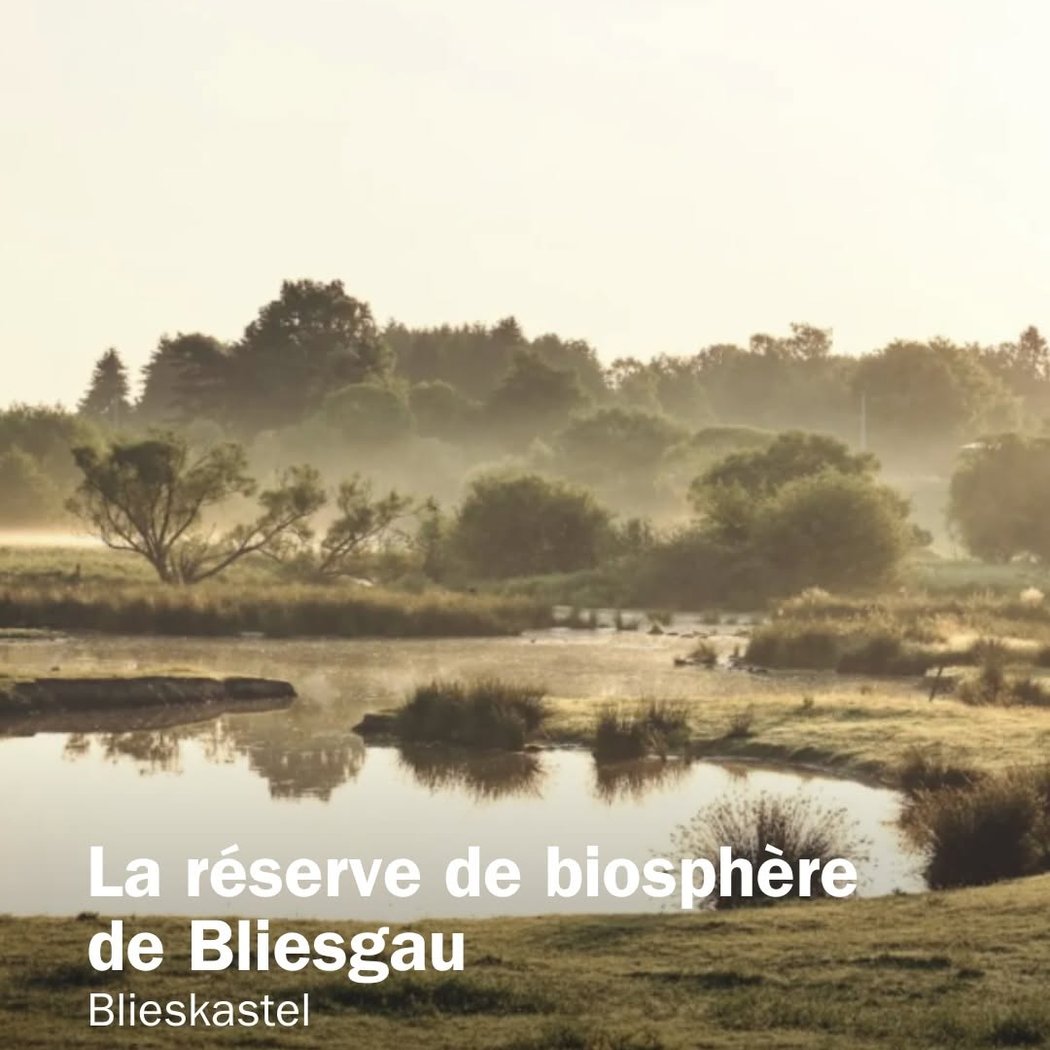 Bliesgau Biosphere Reserve 1