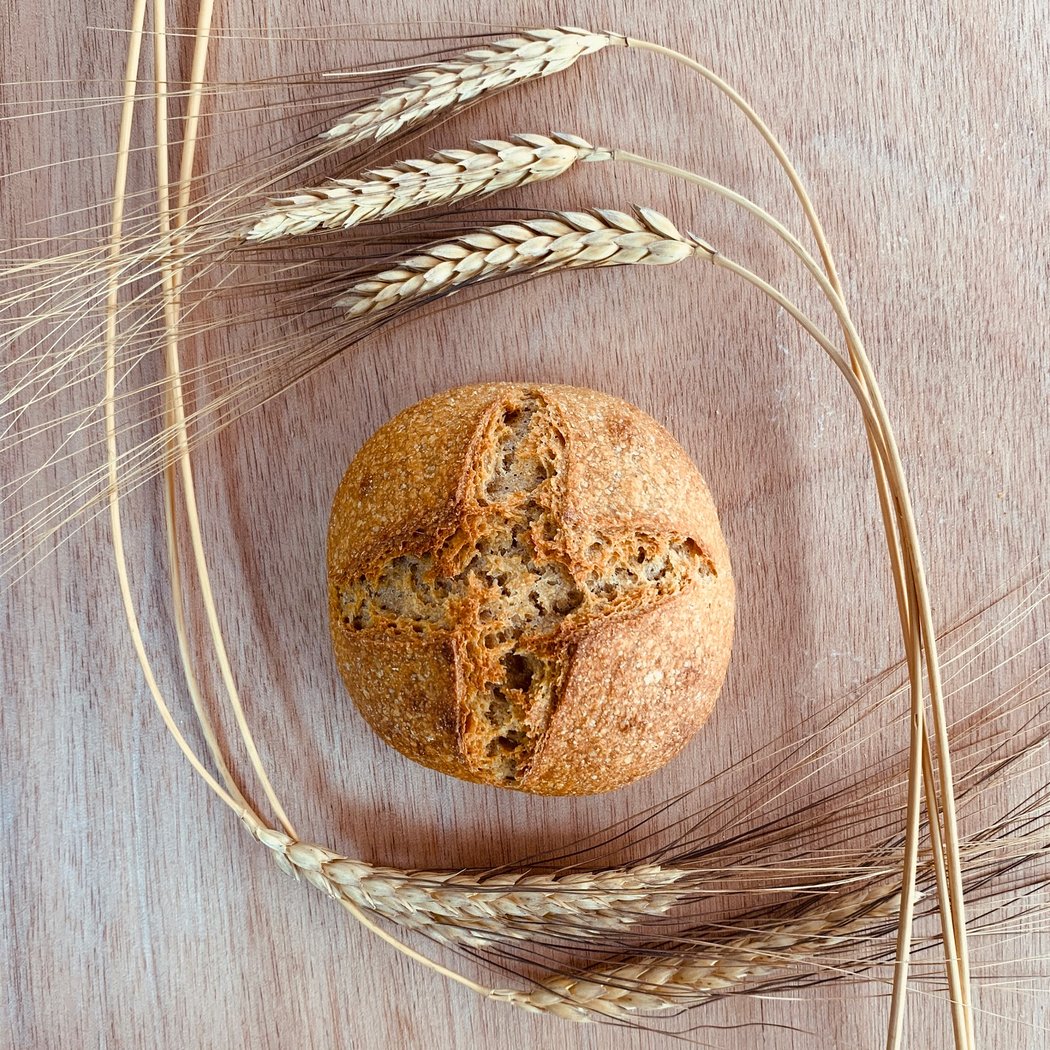 Pane Vivo - Coffee Lab 4