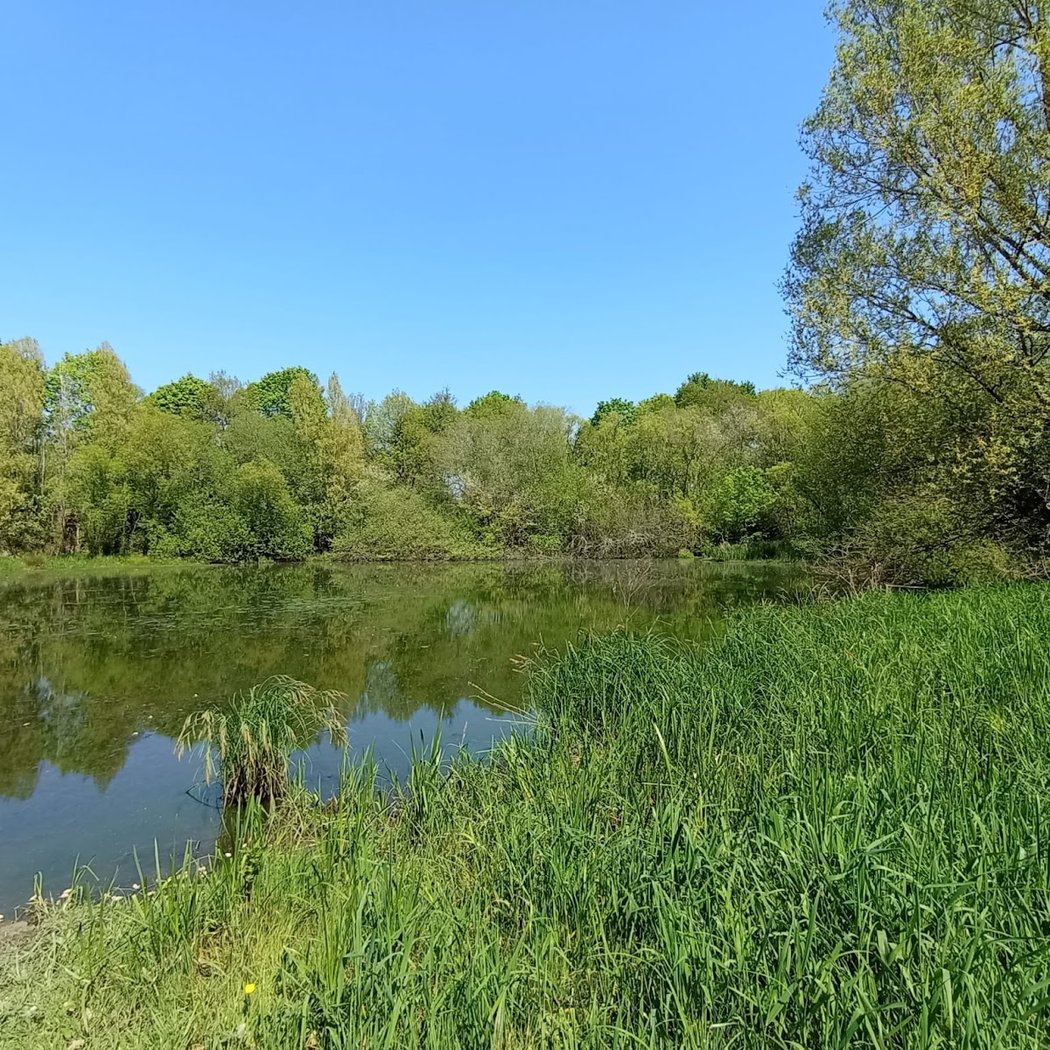 Parc de la Douve 3