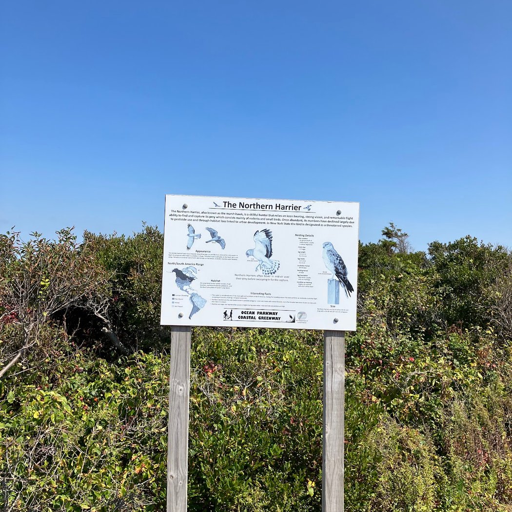Ocean Parkway Coastal Greenway 3