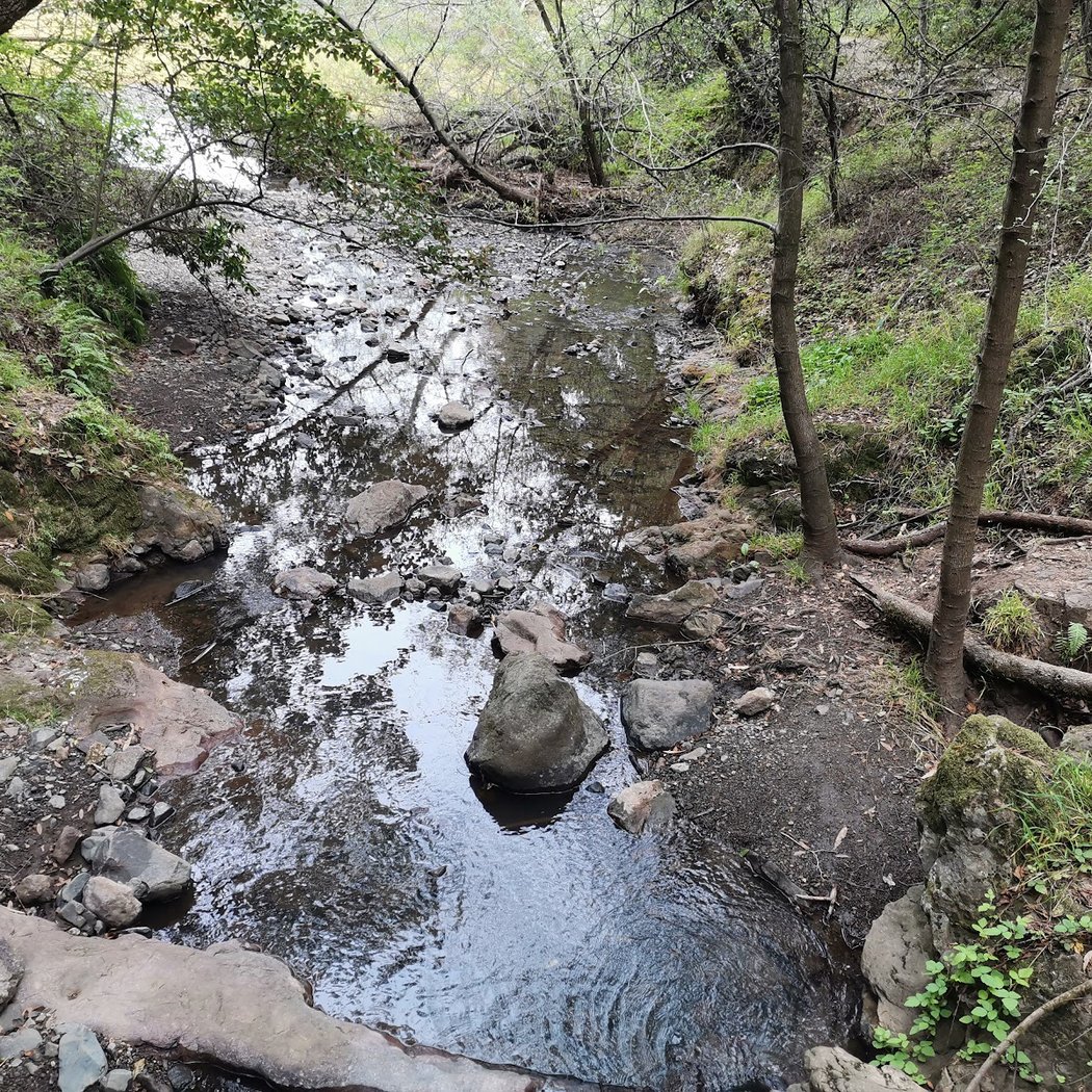 Arroyo Viejo Creek 3