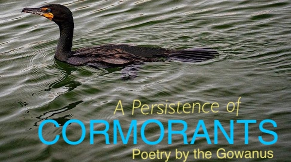 A Persistence of Cormorants Poetry Reading 1