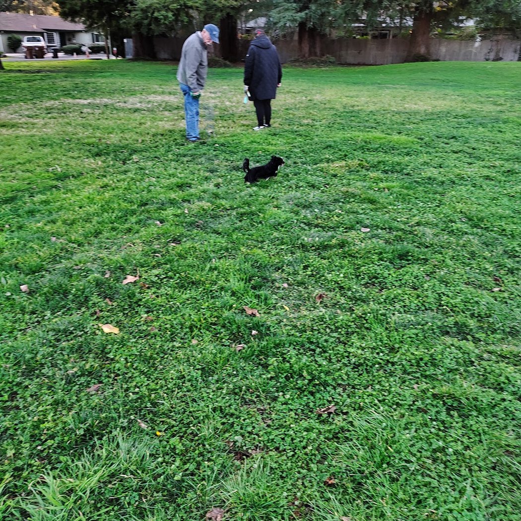 Sutherland Park 3
