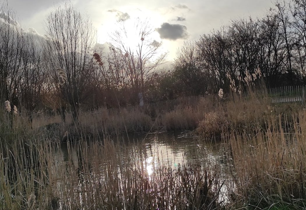 La mare perchée 1