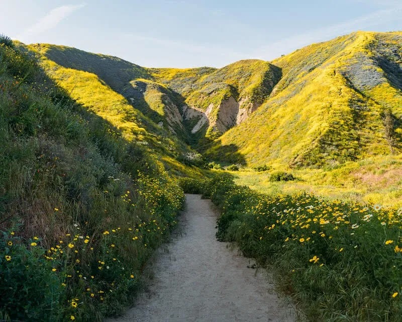 Arroyo Verde Park 1