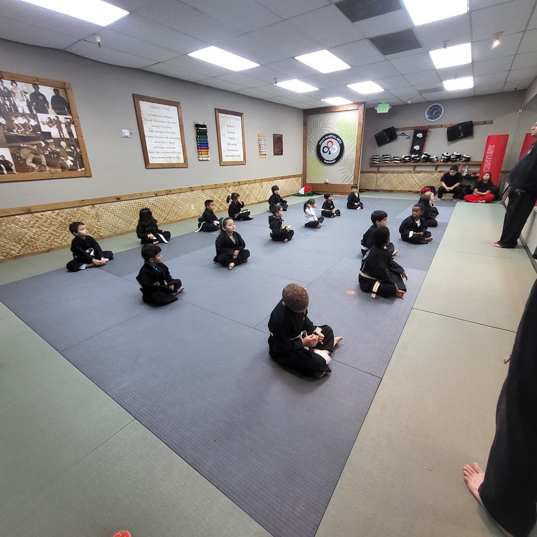 Solis Martial Arts 3