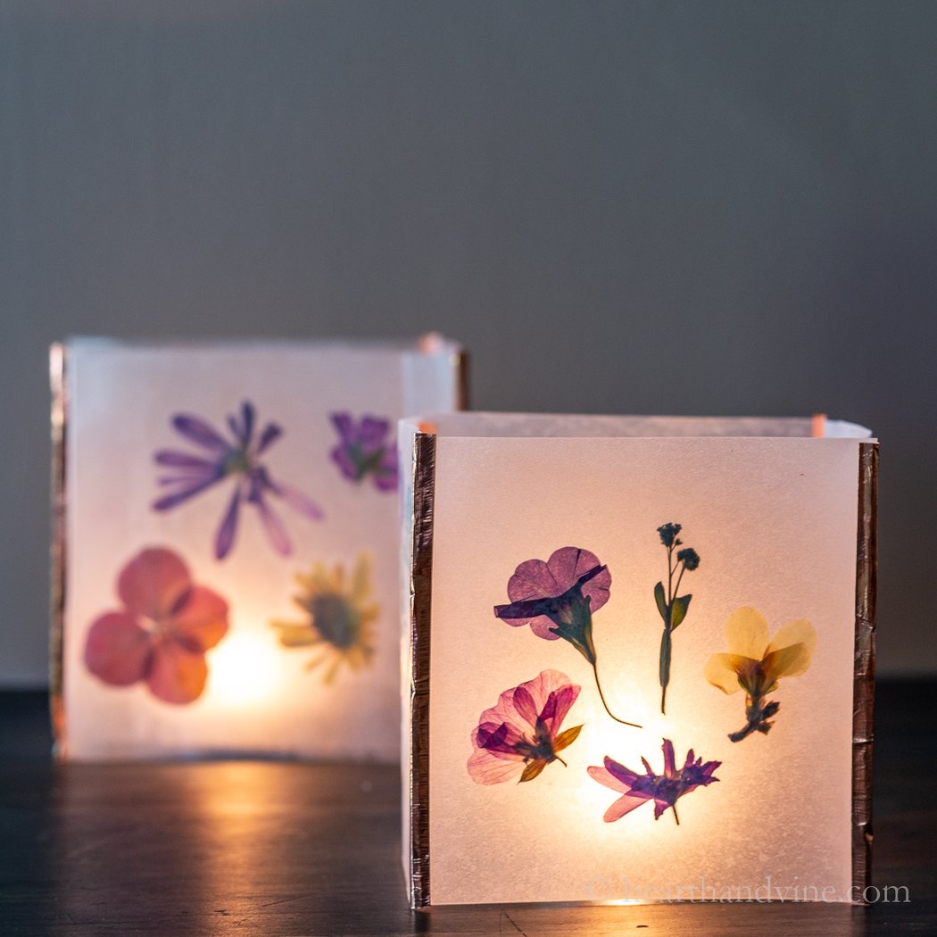 Pressed Flower Lamp or Lantern Workshop 3