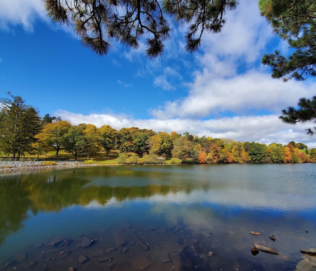 Green Hill Park 1