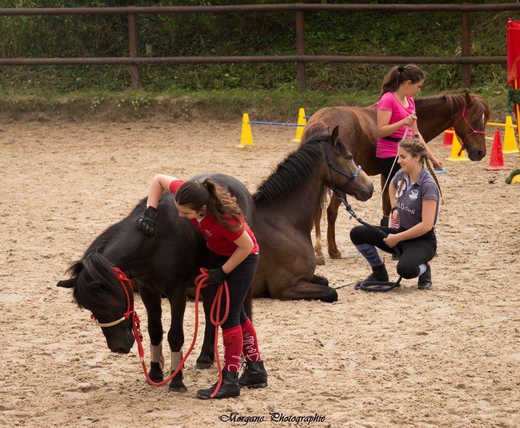 Equestrian Center De Maurecourt 2
