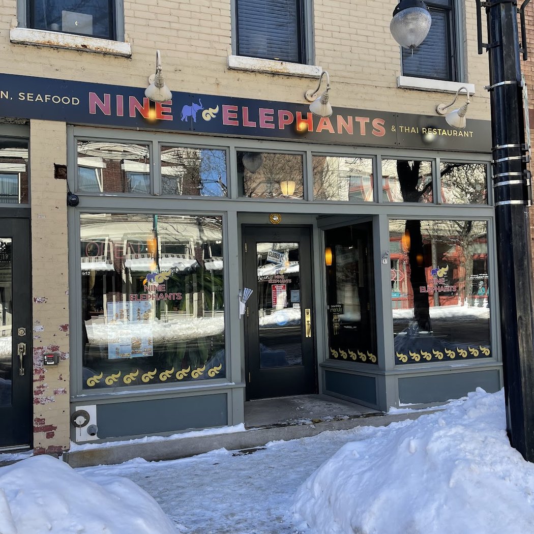 Nine Elephants 2